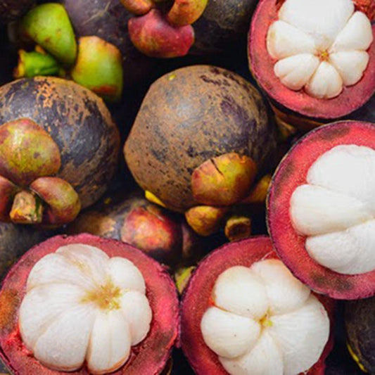 kokum fruit
